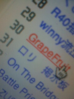 �c�s�h������Ă�