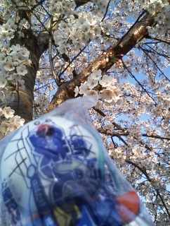 �h�������ƍ�