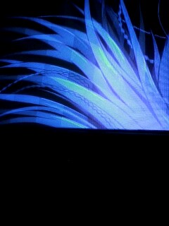 �����f���쐟�L�^�R��